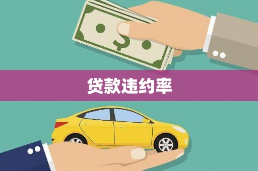 理县贷款违约率