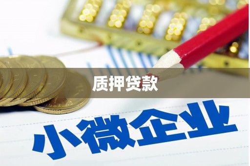 理县质押贷款