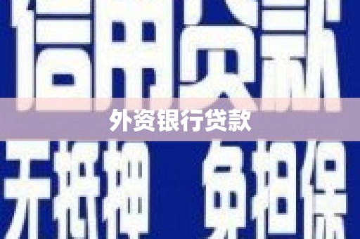 理县外资银行贷款