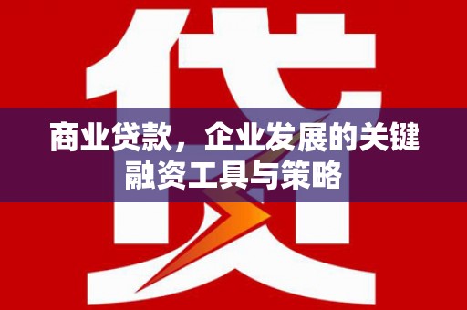 理县商业贷款，企业发展的关键融资工具与策略