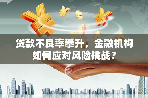 理县贷款不良率攀升，金融机构如何应对风险挑战？