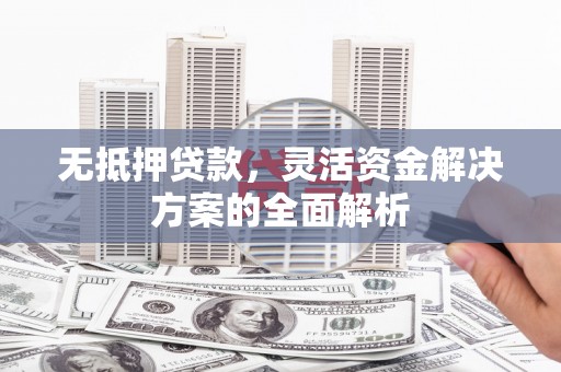 理县无抵押贷款，灵活资金解决方案的全面解析