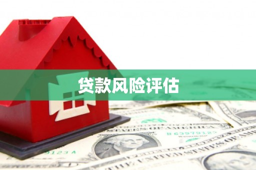 理县贷款风险评估