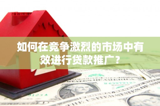 理县如何在竞争激烈的市场中有效进行贷款推广？