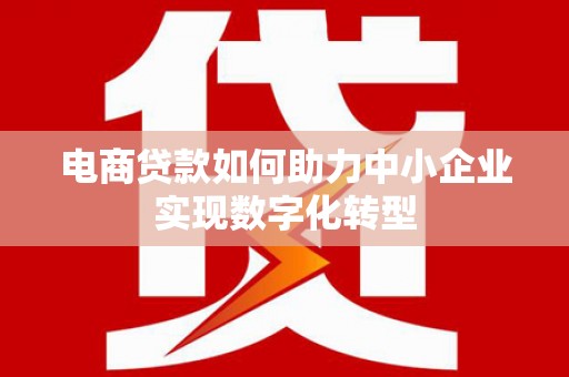 理县电商贷款如何助力中小企业实现数字化转型