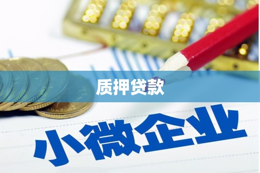 理县质押贷款