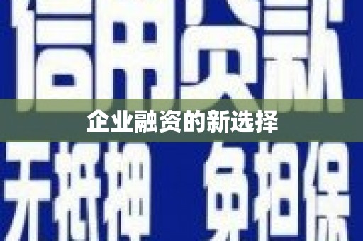 理县企业融资的新选择