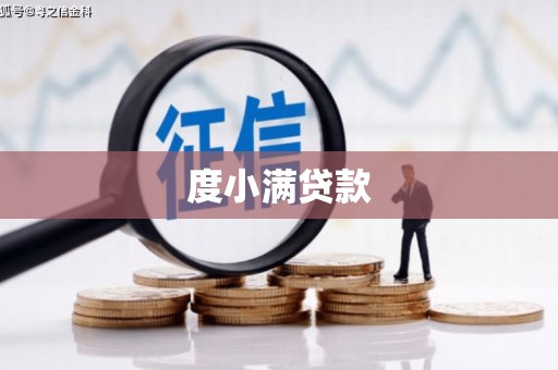 理县度小满贷款