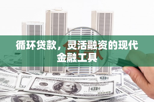 理县循环贷款，灵活融资的现代金融工具