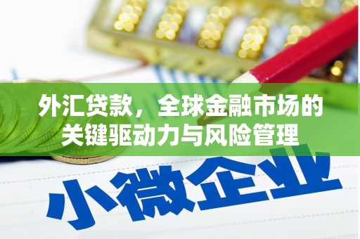 理县外汇贷款，全球金融市场的关键驱动力与风险管理