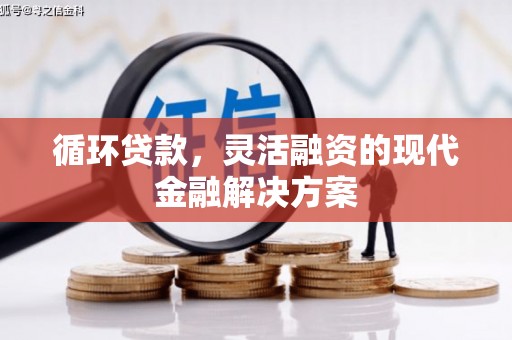 理县循环贷款，灵活融资的现代金融解决方案
