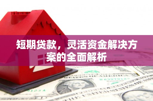 理县短期贷款，灵活资金解决方案的全面解析