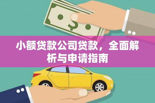 理县小额贷款公司贷款，全面解析与申请指南