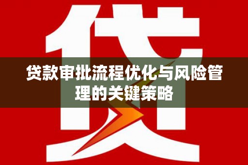 理县贷款审批流程优化与风险管理的关键策略