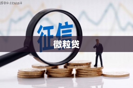 理县微粒贷