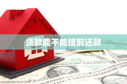 理县贷款能不能提前还款