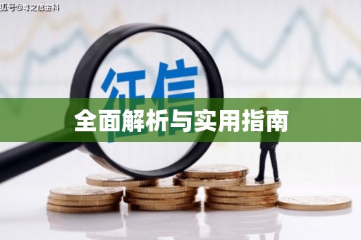 理县全面解析与实用指南