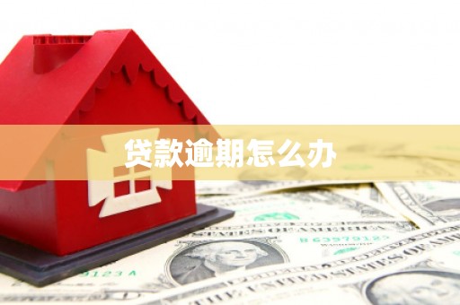 理县贷款逾期怎么办