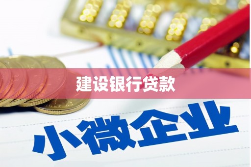 理县建设银行贷款