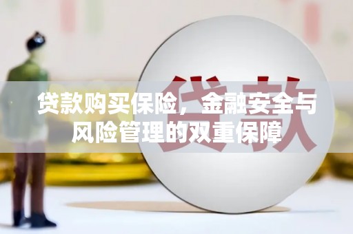 理县贷款购买保险，金融安全与风险管理的双重保障