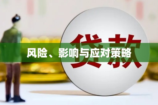 理县风险、影响与应对策略