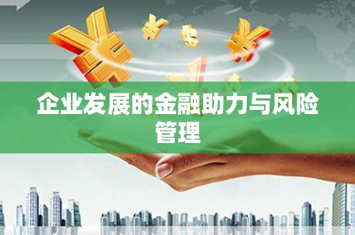 理县企业发展的金融助力与风险管理