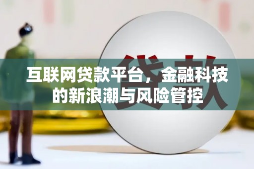 理县互联网贷款平台，金融科技的新浪潮与风险管控