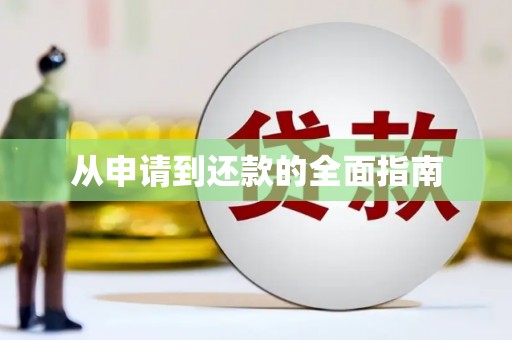 理县从申请到还款的全面指南