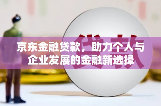 理县京东金融贷款，助力个人与企业发展的金融新选择