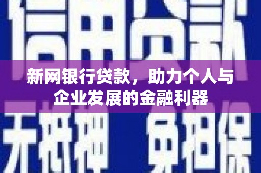 理县新网银行贷款，助力个人与企业发展的金融利器