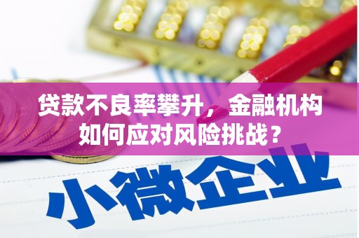 理县贷款不良率攀升，金融机构如何应对风险挑战？