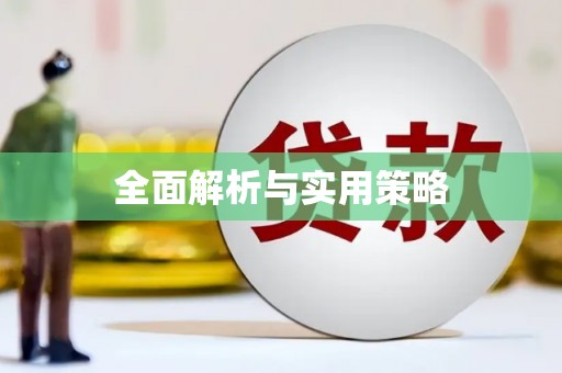 理县全面解析与实用策略