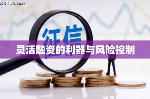理县灵活融资的利器与风险控制