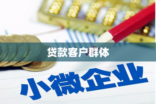 理县贷款客户群体