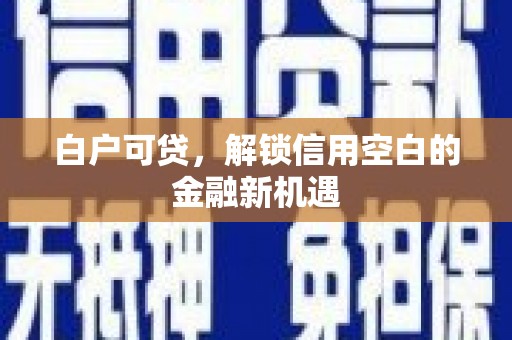 理县白户可贷，解锁信用空白的金融新机遇