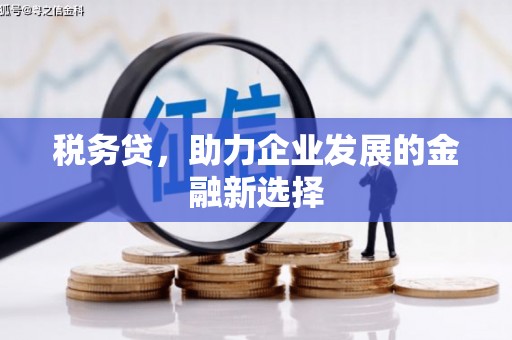 理县税务贷，助力企业发展的金融新选择
