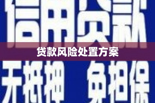 理县贷款风险处置方案