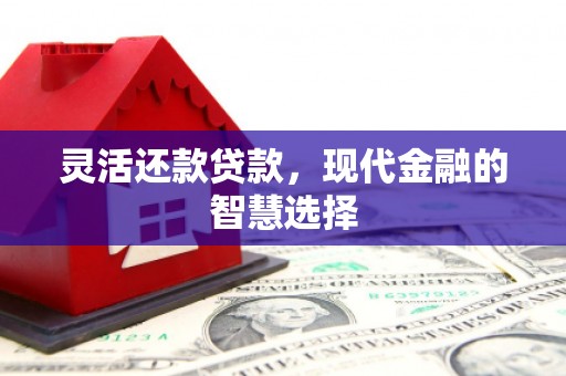 理县灵活还款贷款，现代金融的智慧选择