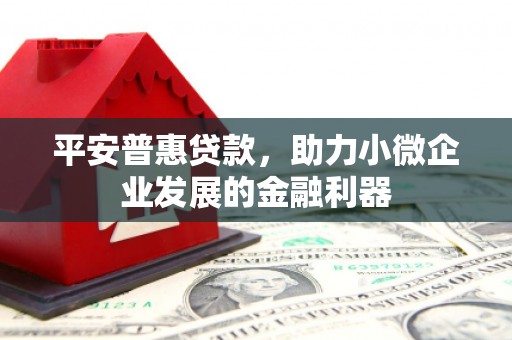 理县平安普惠贷款，助力小微企业发展的金融利器