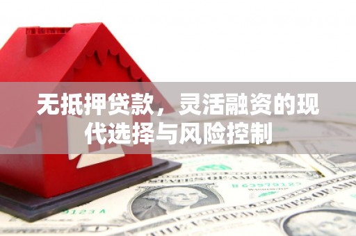 理县无抵押贷款，灵活融资的现代选择与风险控制