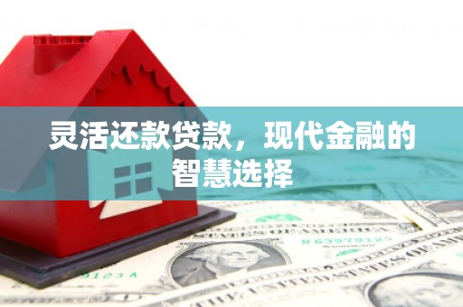 理县灵活还款贷款，现代金融的智慧选择