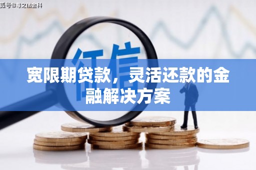 理县宽限期贷款，灵活还款的金融解决方案