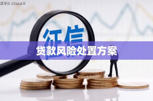 理县贷款风险处置方案
