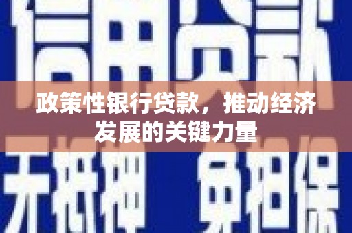 理县政策性银行贷款，推动经济发展的关键力量