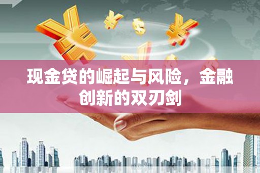 理县现金贷的崛起与风险，金融创新的双刃剑