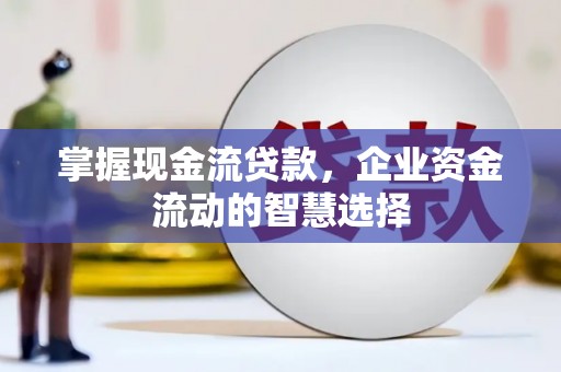 理县掌握现金流贷款，企业资金流动的智慧选择