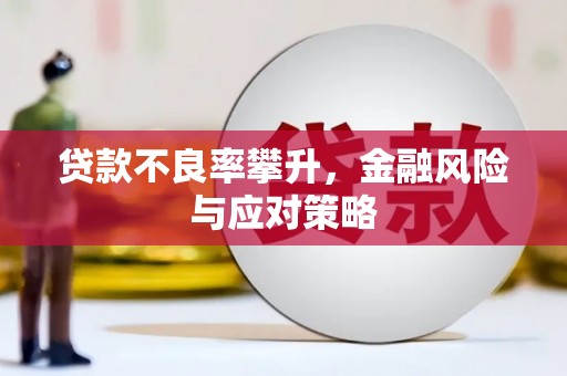 理县贷款不良率攀升，金融风险与应对策略