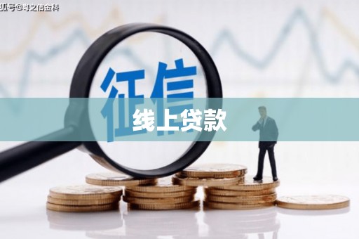 理县线上贷款
