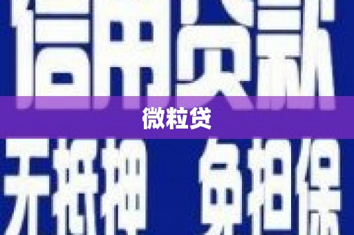 理县微粒贷