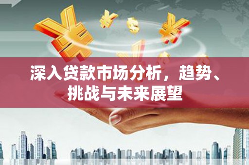 理县深入贷款市场分析，趋势、挑战与未来展望